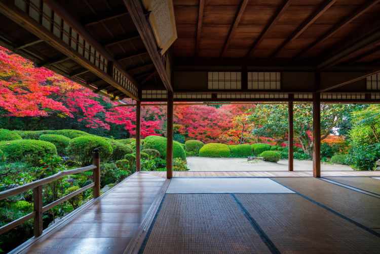 central kyoto