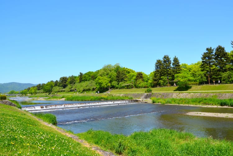 takagamine & murasakino area