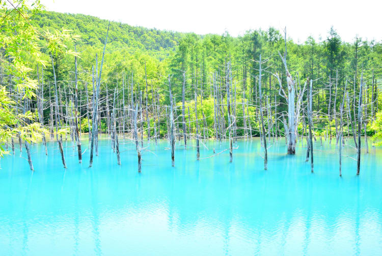 Blue pond