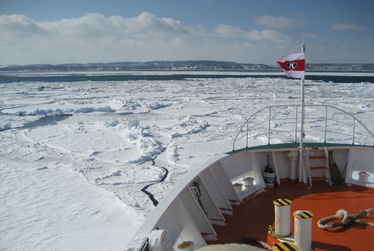 Drift Ice Cruises