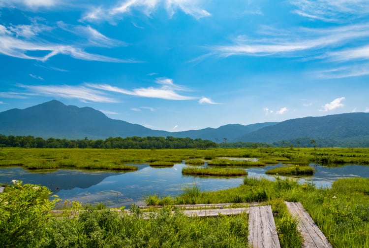 oze national park