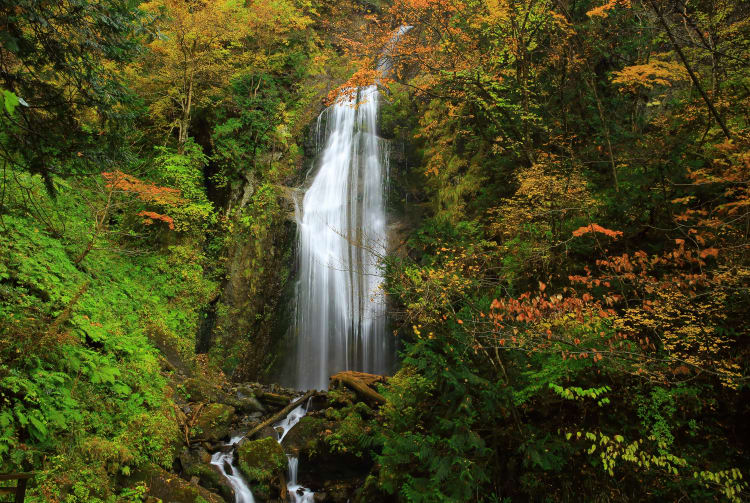 Dakigaeri Gorge-AUT