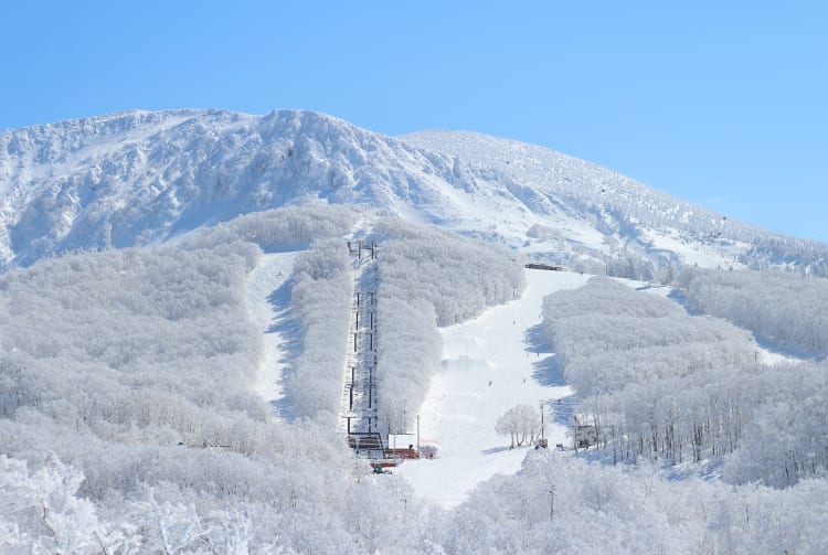 Ski at Zao-WIN