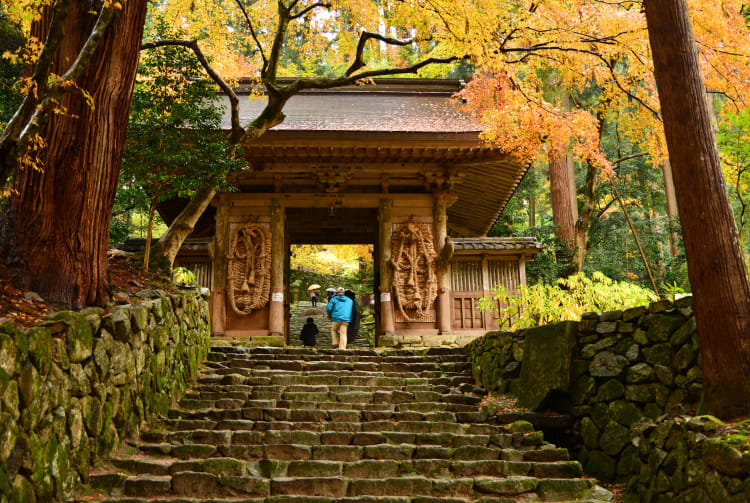 Fall Foliage of Hyakusai-ji