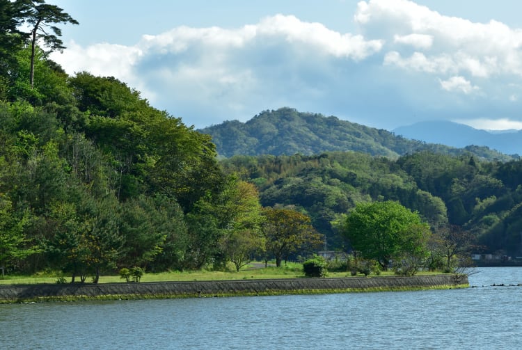Koyama Pond