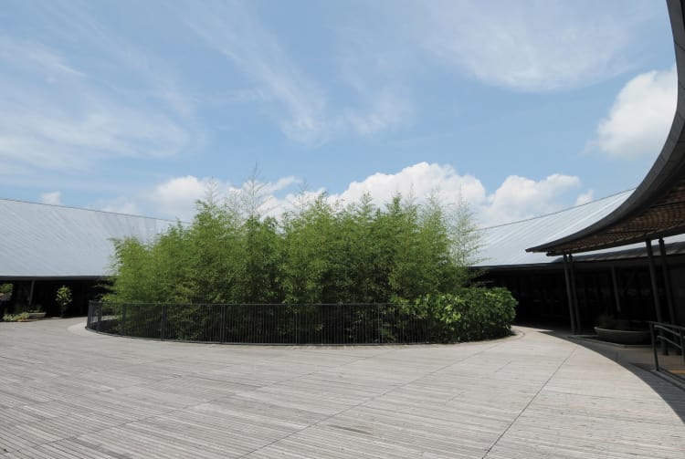The Kochi Prefectural Makino Botanical Garden