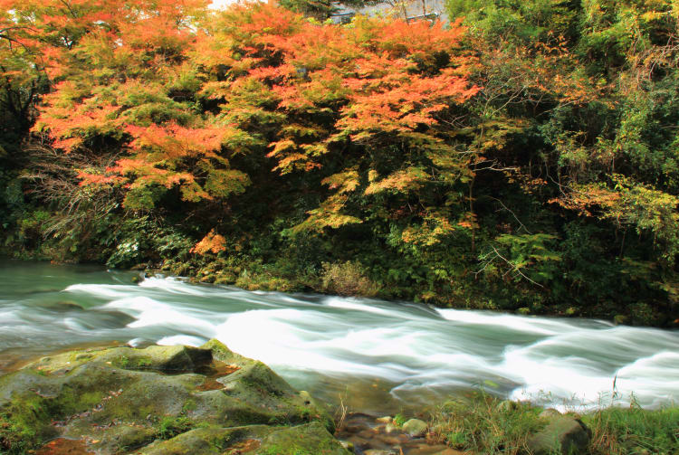 Kaga Onsen 