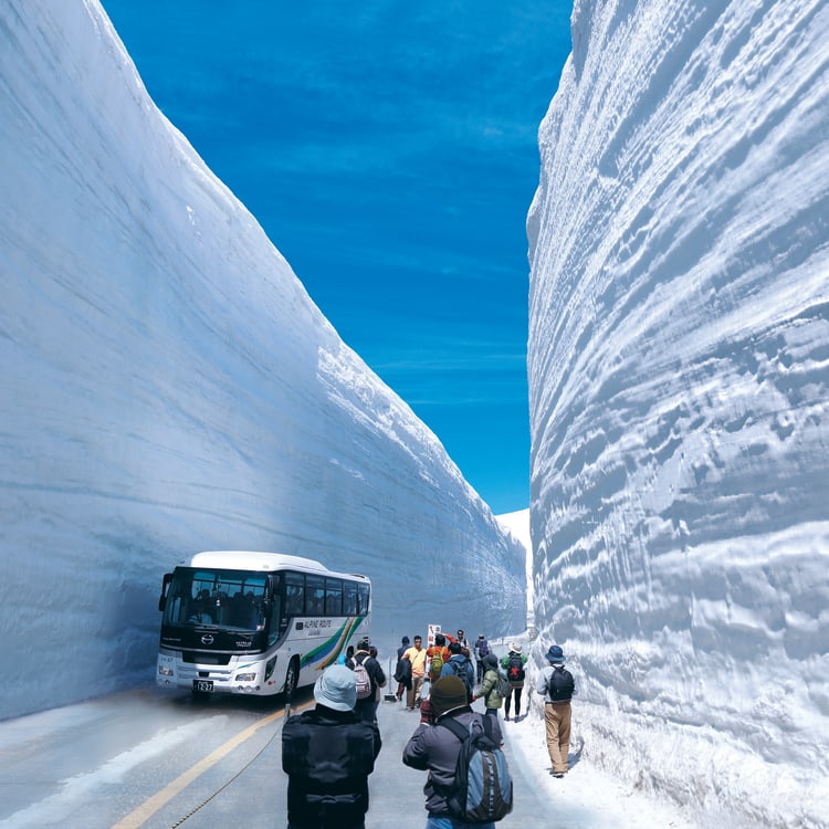 alpine tour service