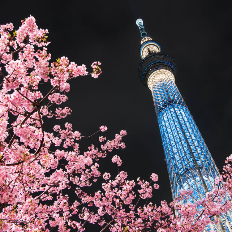 Japan in April Guide Travel Japan（Japan National Tourism Organization）