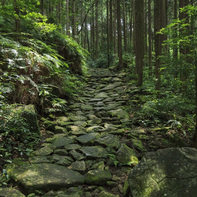 Magose-toge Pass of Kumano Kodo