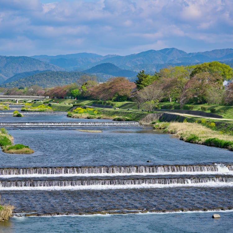 Kamo River