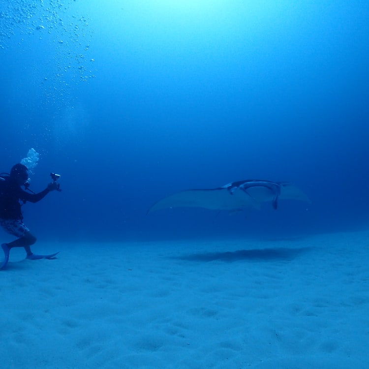 Diving in Ishigaki Island