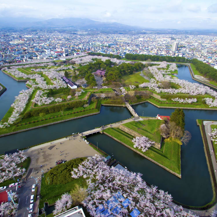 goryokaku fort