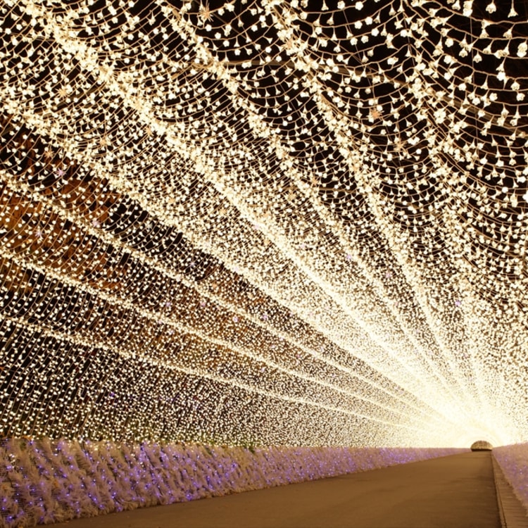 Nabana no Sato Winter Illumination