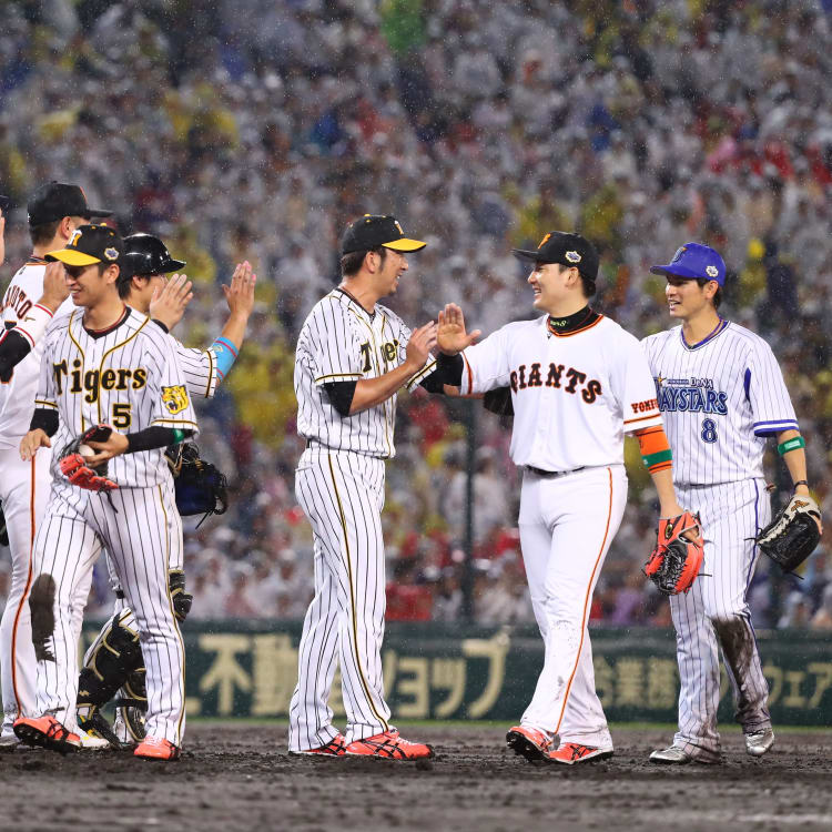 Baseball in Japan Guide Travel Japan (Japan National Tourism