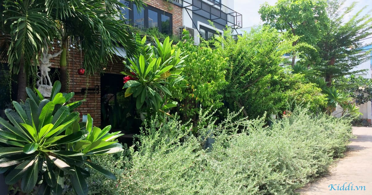 Chung cư Harina View