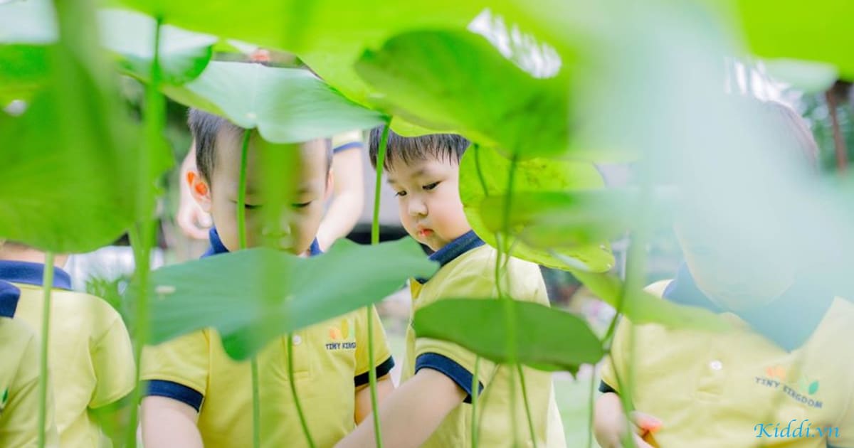 Đất nền Maylandia quận 9