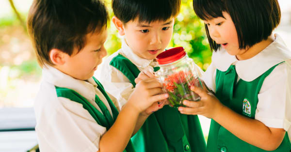 8 LÝ DO KINDERLAND ĐƯỢC ĐÁNH GIÁ LÀ THƯƠNG HIỆU MẦM NON HÀNG ĐẦU SINGAPORE