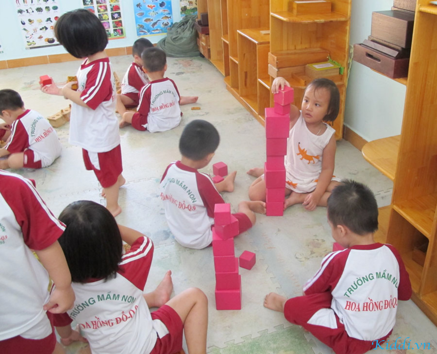 Trường Mầm Non Hoa Hồng Đỏ - Quận 9 - Kiddi