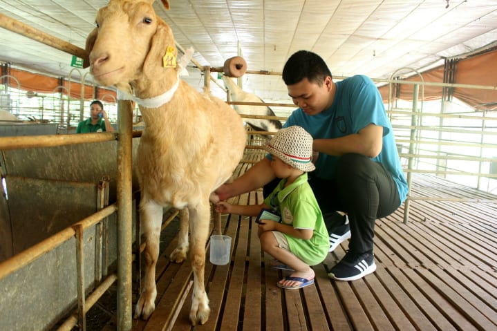 04 TIÊU CHÍ VÀNG KHI LỰA CHỌN TRƯỜNG MẦM NON CHO BÉ