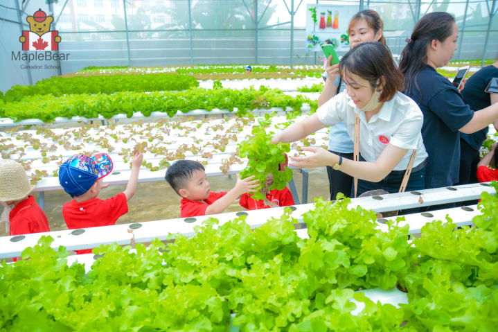 GIẢI ĐÁP MỌI THẮC MẮC CỦA BA MẸ VỀ HỌC PHÍ CỦA MẦM NON MAPLE BEAR