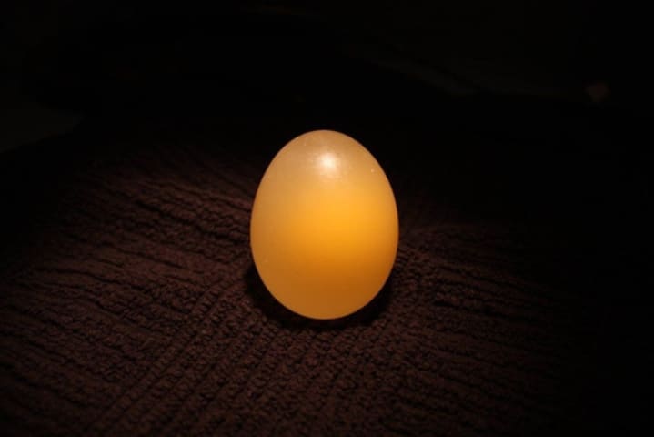 Thí nghiệm khoa học đơn giản tại nhà với những trái trứng