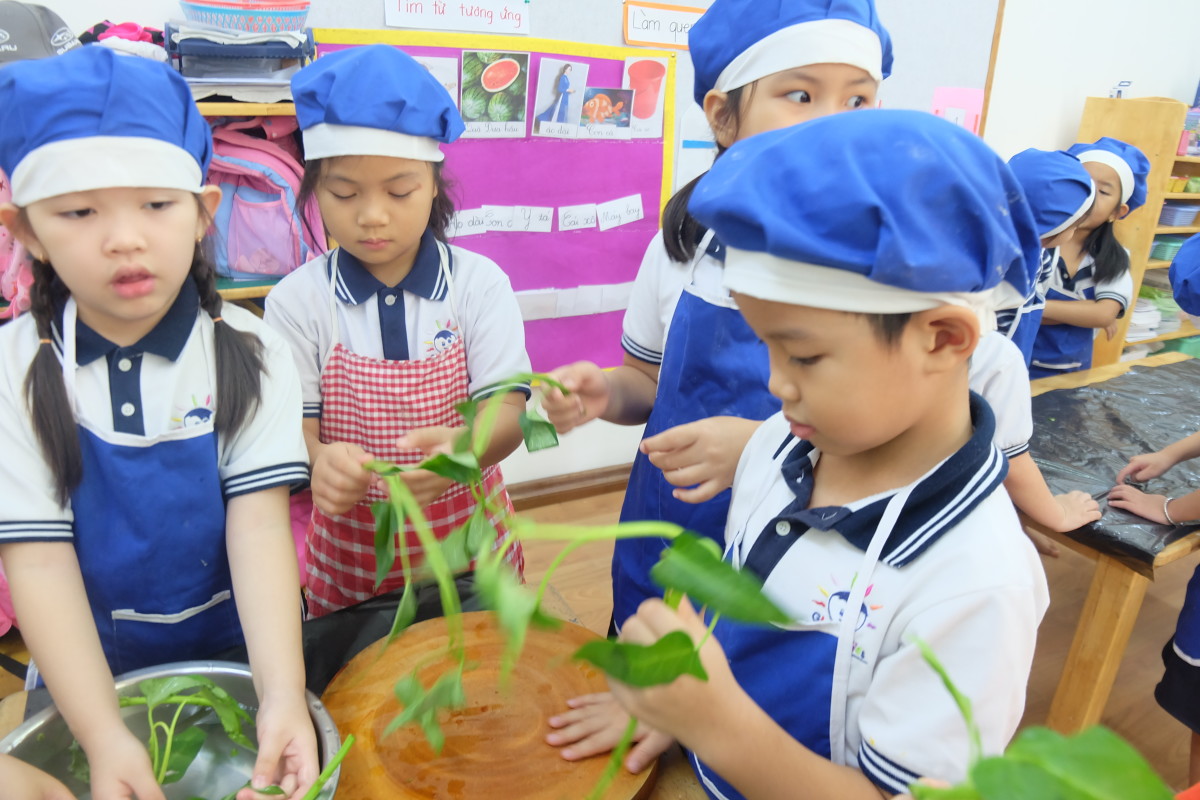Cùng giúp cô giáo nhặt rau muống và rửa trái cây