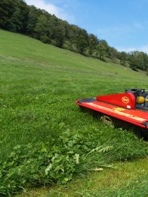 Plain Mowers - VICON EXTRA 324F ALPIN - FRONT MOUNTED ALPINE DISC MOWER, made for mountain regions and hilly conditions with its stable gravity point and excellent visibility