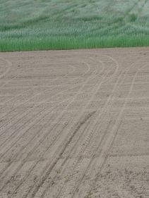Kverneland optima TFprofi, high performance and reduced tractor power requirement