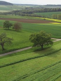 Four Rotor Rakes - VICON ANDEX 1304 PRO, super efficient in use during field operation with ISOBUS option