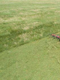 Mounted Tedders - Vicon Fanex 604 - 804, ideal for hay making also low weight and low power requirments