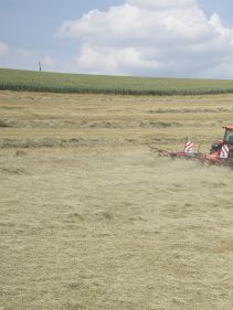 Mounted Tedders - Vicon Fanex 604 - 804, ideal for hay making also low weight and low power requirments