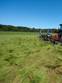 mounted tedders - VICON FANEX 554-684-764-904-1124, Central adjustment for border spreading keeping the crop inside the field.