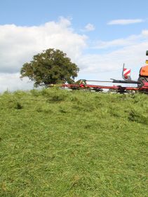 mounted tedders - VICON FANEX 554-684-764-904-1124, Central adjustment for border spreading keeping the crop inside the field.