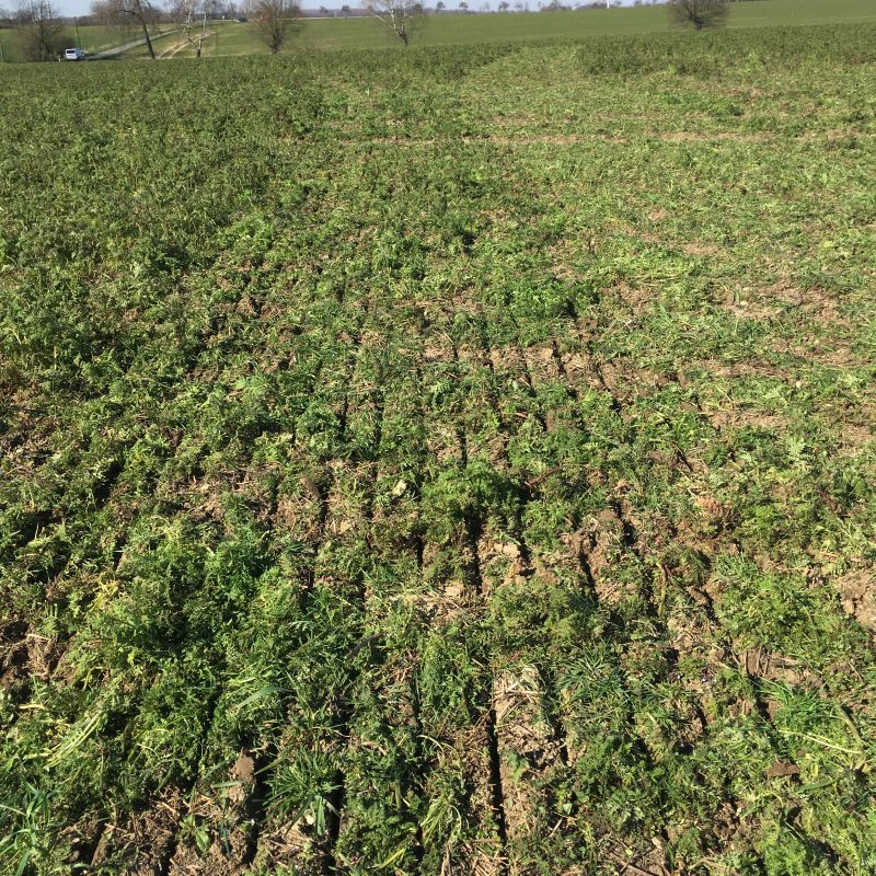 Kverneland u-drill, universal seed drill combination - seedbed preparation and levelling