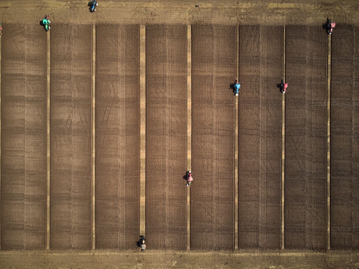 Tractors ploughing