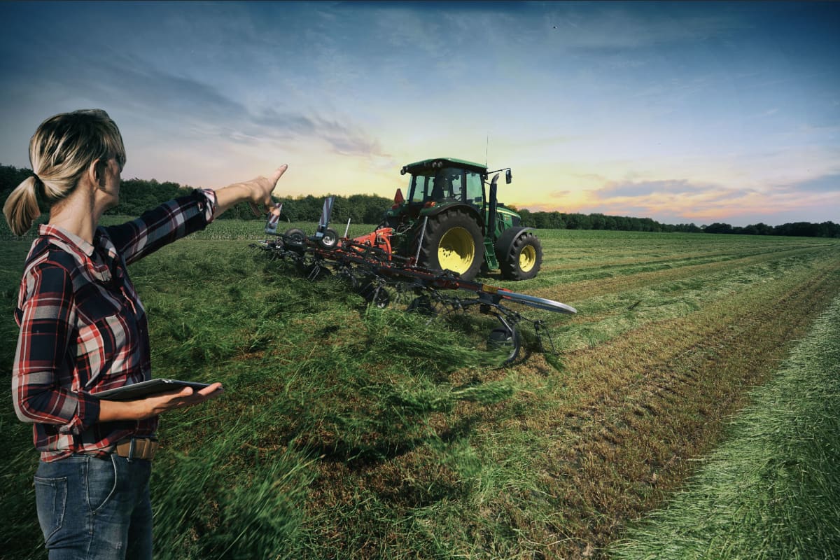 mounted tedders - VICON FANEX 554-684-764-904-1124, Central adjustment for border spreading keeping the crop inside the field.