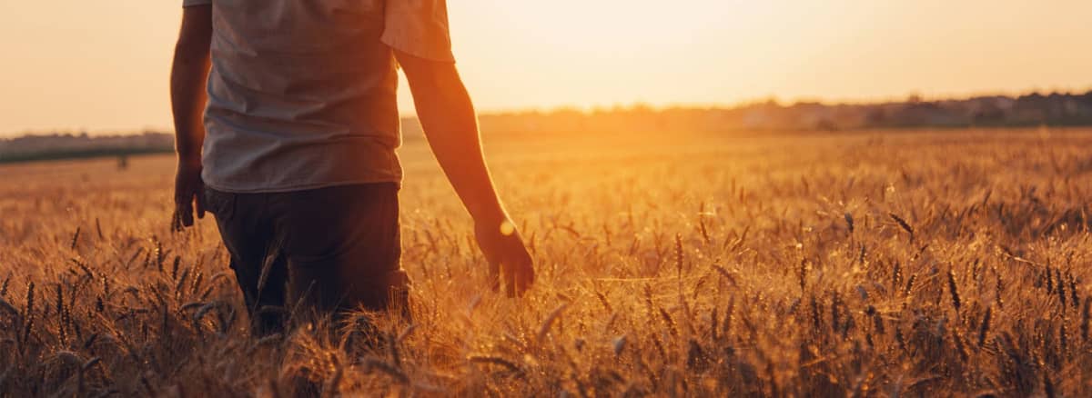 Vicon - Campagna Finanziaria STOCK - tasso 0%