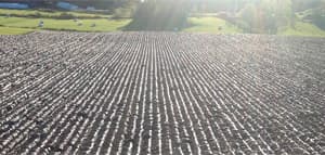 Results of the World Ploughing Championship 2013, Canada