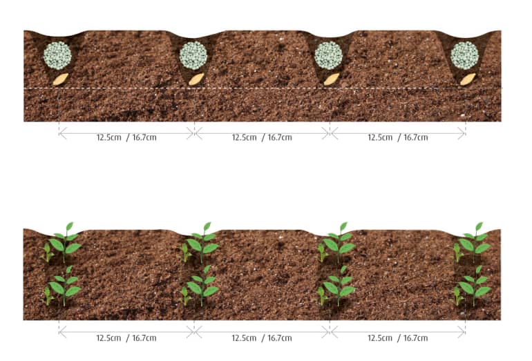 u-drill plus - Posizionamento del fertilizzante