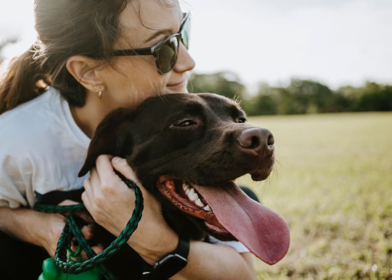 beets for dog allergies