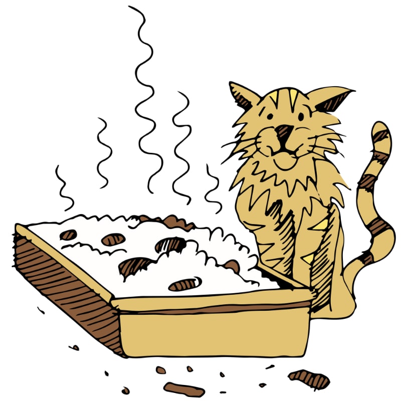 Best Litter Box for Odor Control
