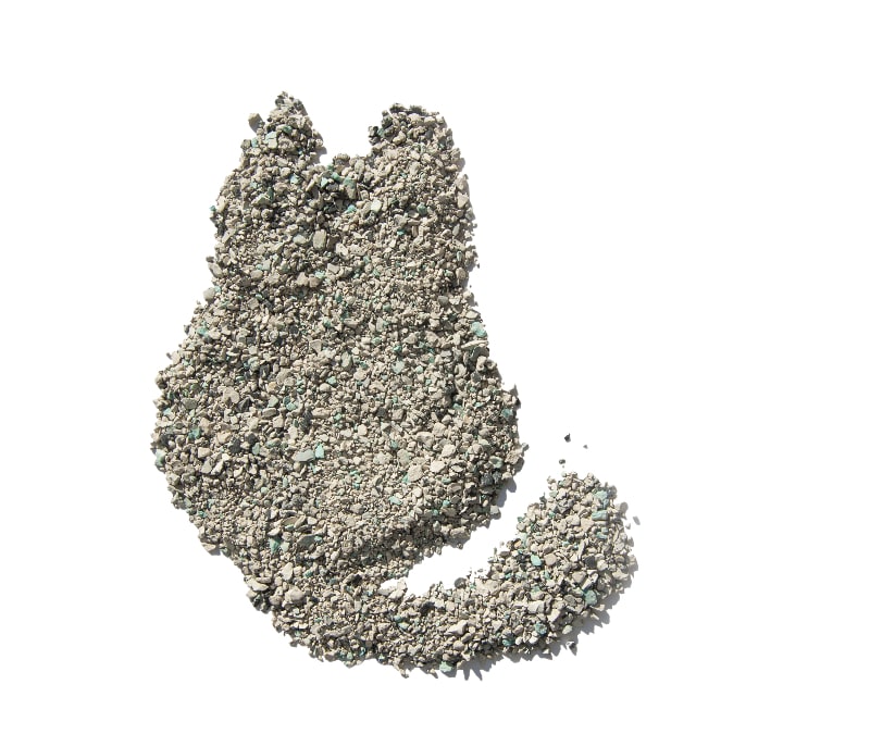 How to Clean a Litter Box