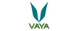 Vaya