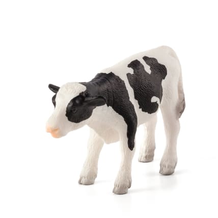 Mojo Seisova Holstein-vasikka