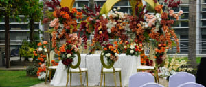 Weddings