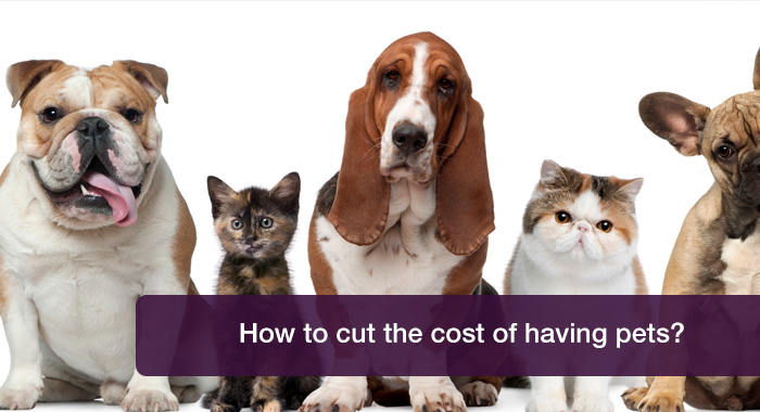 How to cut pet costs without compromising on care