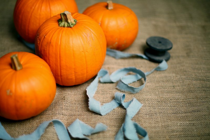 Learn how to save money this halloween without breaking the bank
