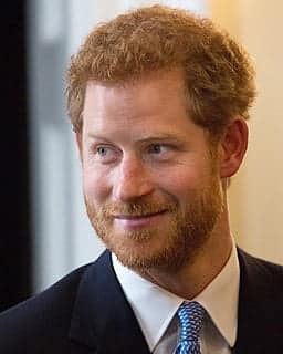 Prince Harry royal wedding
