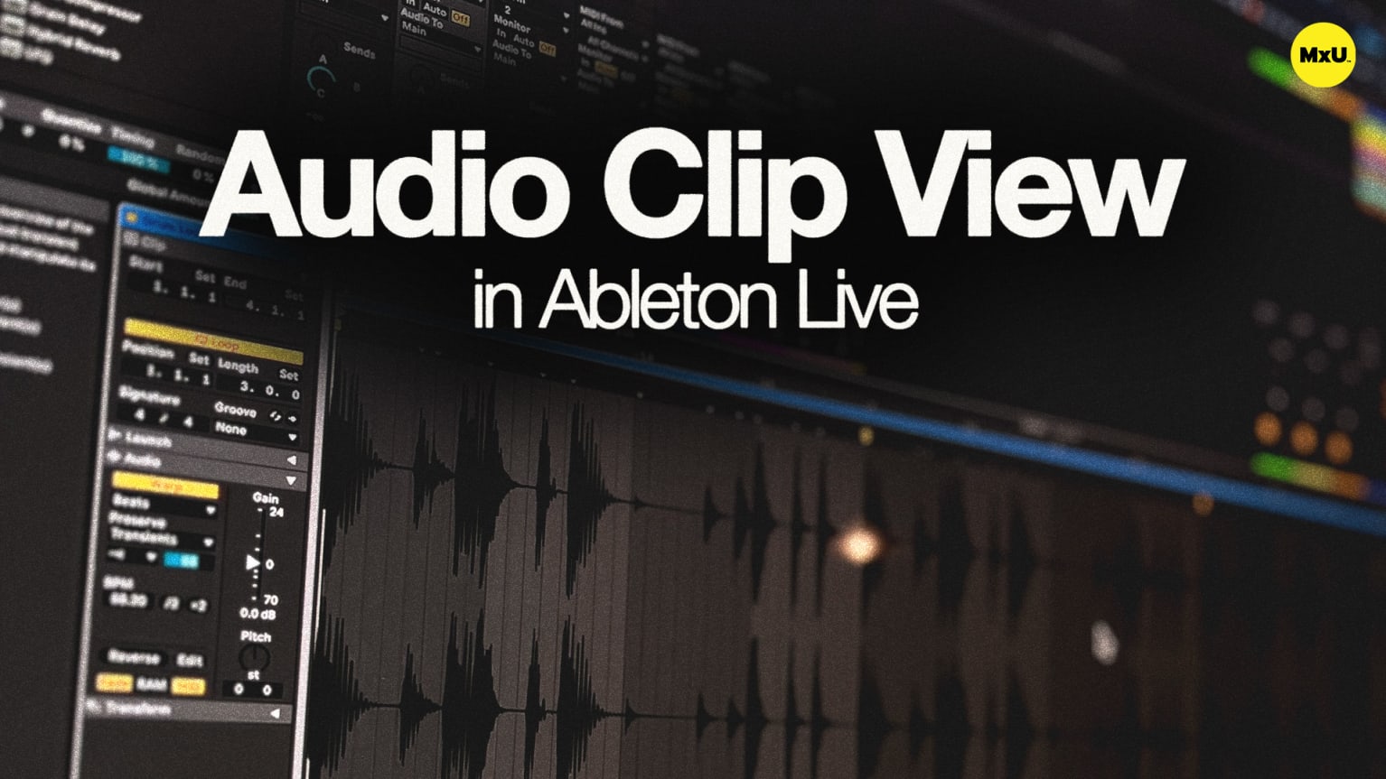 Audio Clip View in Ableton Live - MxU